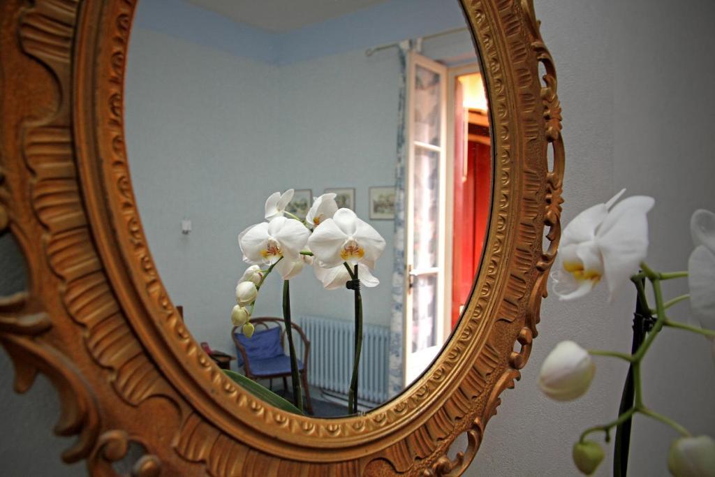 Logis Hotel Saint Clair Albi Luaran gambar